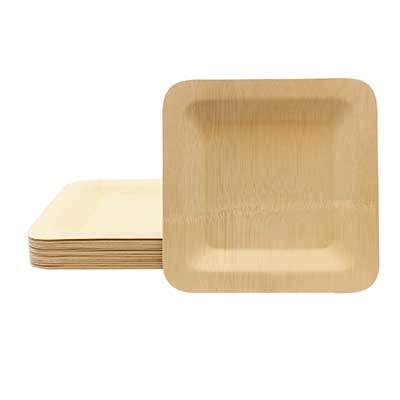 Disposables &gt; Durable Disposable Plates for Restaurants &amp; Catering