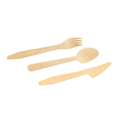 Disposables &gt; Disposable Flatware for Restaurants, Catering, and Events