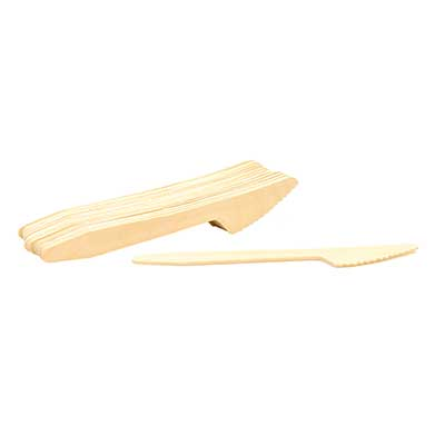 Disposables &gt; Disposable Flatware for Restaurants, Catering, and Events &gt; Knives