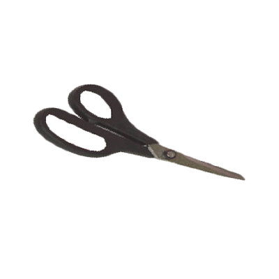 Kitchen Supplies &gt; Premium Kitchen Supplies and Cutlery &gt; Kitchen Shears &amp; Scissors