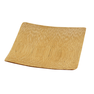 Disposable Platters / Trays