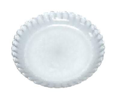 Plastic Plate