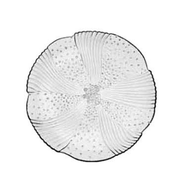 Libbey 15506, 7.58" Duratuff Harmony Glass Salad Plate